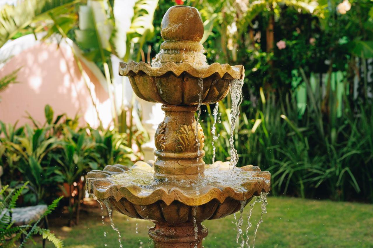 Hotel Boutique Quinta Das Videiras Florianópolis Екстериор снимка