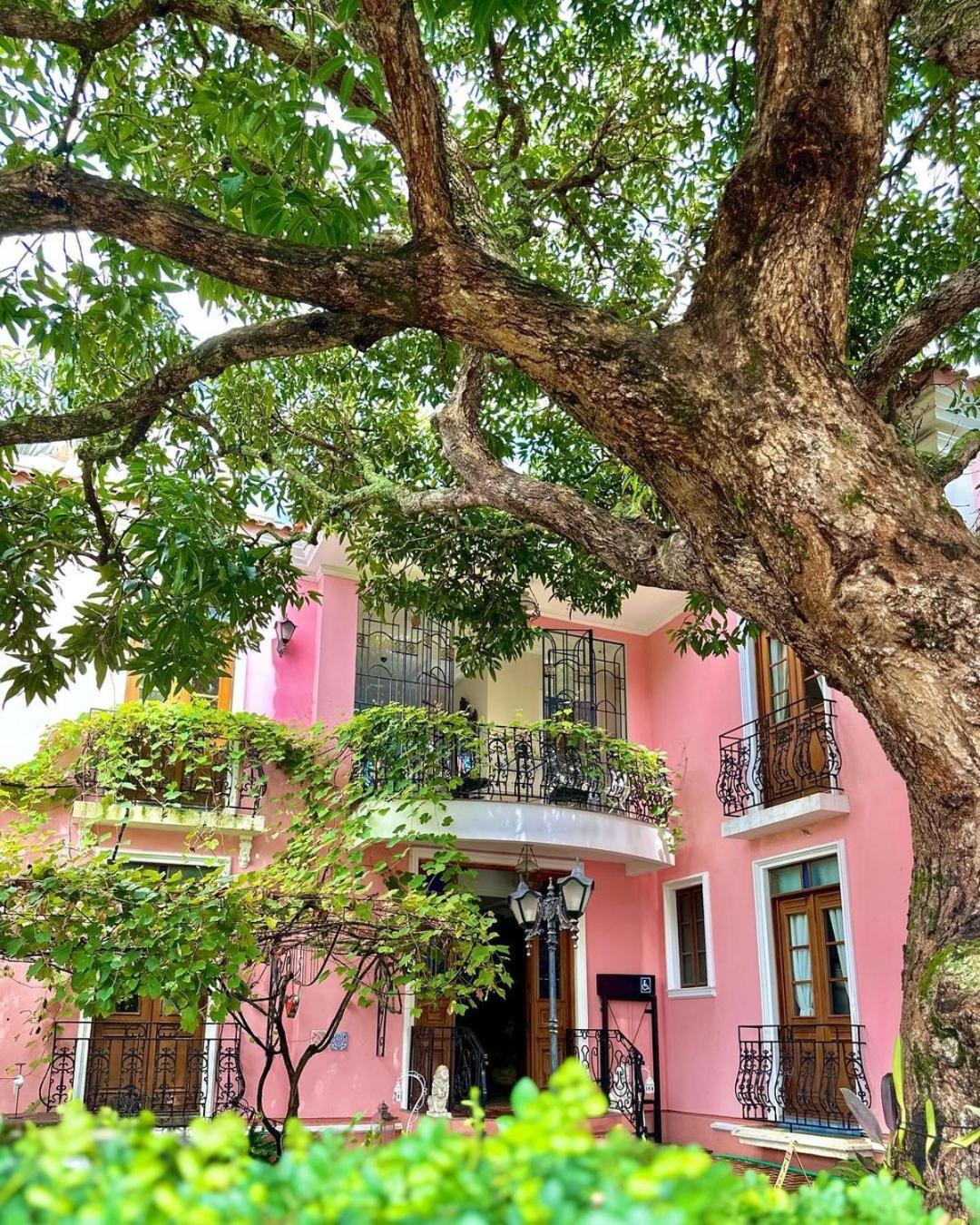 Hotel Boutique Quinta Das Videiras Florianópolis Екстериор снимка
